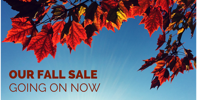 autumn email marketing fall sale