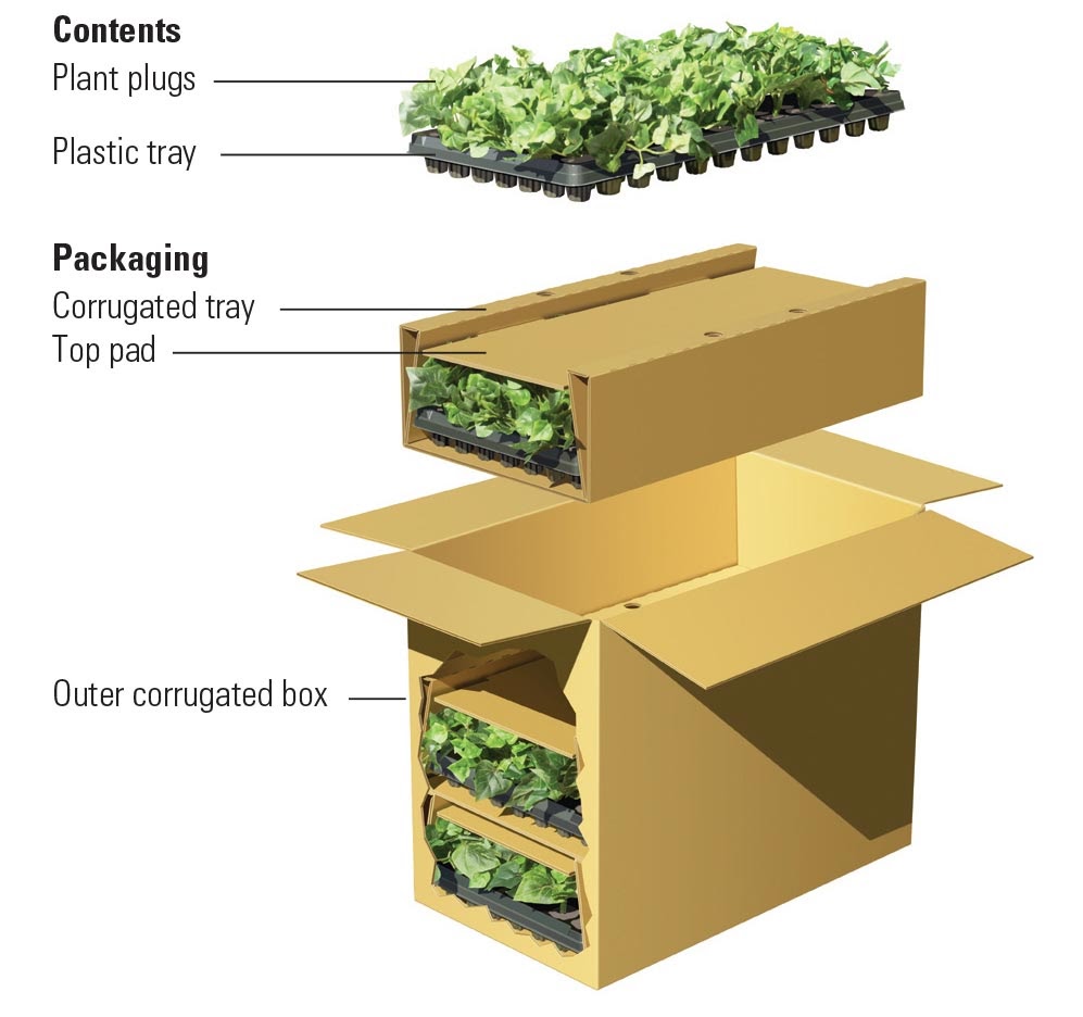 This FedEx diagram illustrates the parts of a corrugated box. 